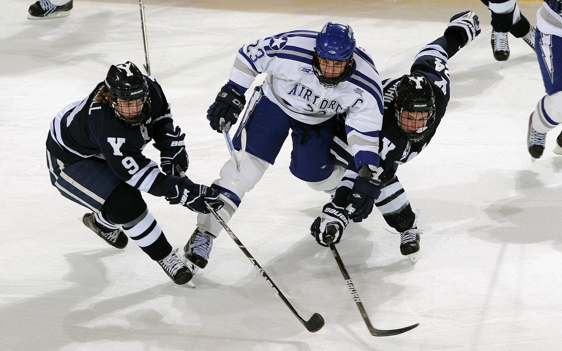 掘金前途光明！，蒂姆新星重返赛场表现突出热度持续攀升